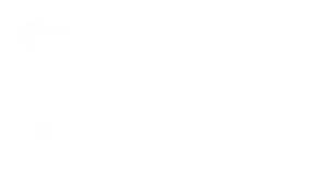 taylor-foam-logo